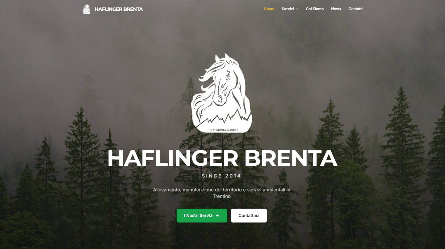 Sito Personalizzato con Blog Integrato